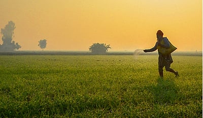 6 மாதங்களில் 557 விவசாயிகள் தற்கொலை!